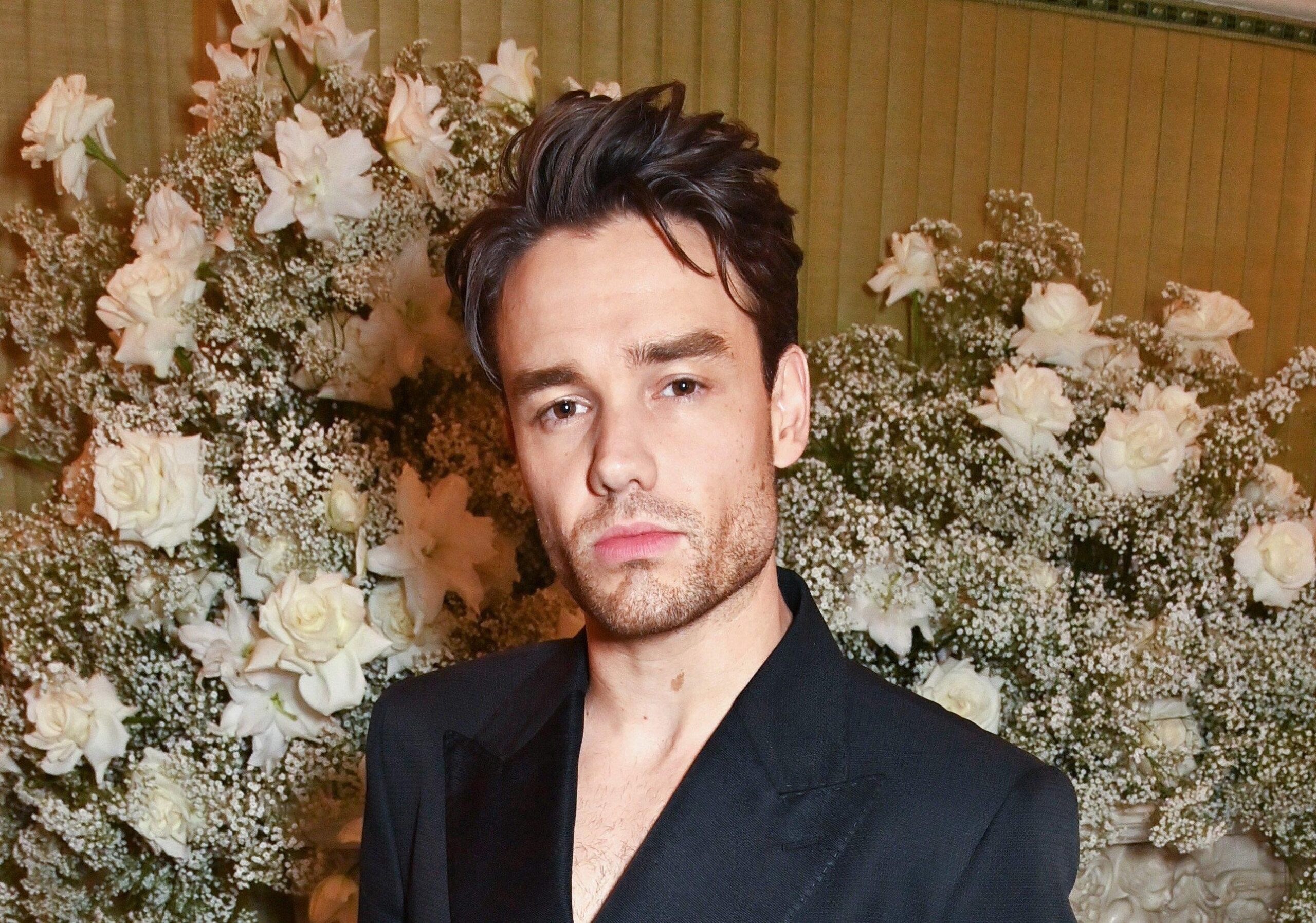 Liam Payne’s Net Worth and Career Overview