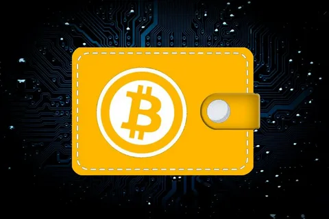What is a Crypto Wallet Devel? A Simple Breakdown of Its Role and Benefits