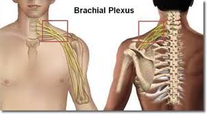 Brachial Plexus Treatment Cost in India: Factors That Affect Pricing